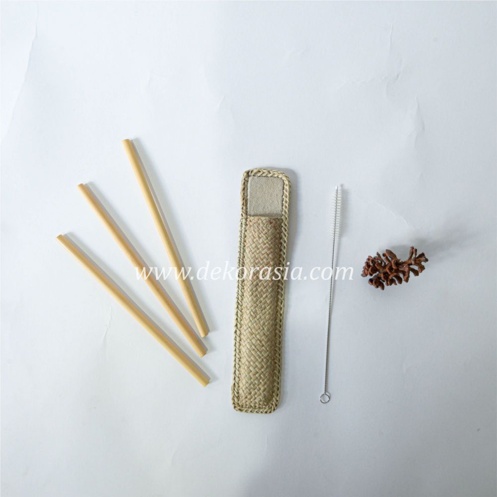 Bamboo Straw Set with Simple Case Type A